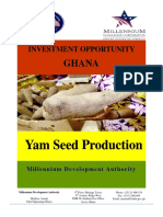 Yam Production in Ghana