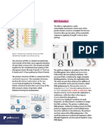 Biochem Mod 11 PDF