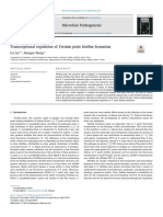 Microbial Pathogenesis: Lei Liu, Shangen Zheng T