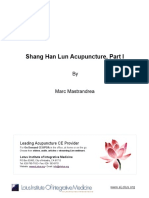 Shang Han Lun - Mmastrandrea - Handout