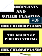 CHLOROPLASTS AND OTHER PLASTIDS