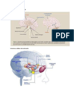 Imagenes de Biotk PDF