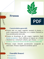 Frunza