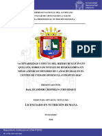 Curo Roque Bladimir Cristhian PDF