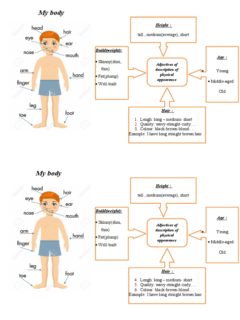 My Body | PDF
