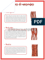 Tpos de musculos.pdf