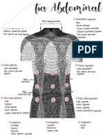topografía abdominal (1).pdf