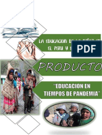 Educacion en Tiempos de Pandemia