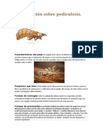 Investigación Sobre Pediculosis y Tarea Ecosistemas Inti