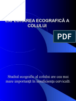 Ecografia Colului Uterin