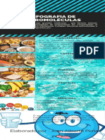 Juan Alberto Peña-Infografia Macromoleculas PDF