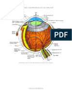 ANATOMY AND PHYSIOLOGY OF THE EYE