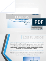 Luis Roldan Fluidos Ing Quimica