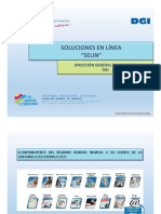 Guía Selin-240820 PDF