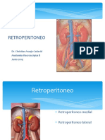 Anatomía del Retroperitoneo
