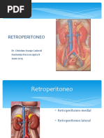 Anatomía del Espacio Retroperitoneal | PDF | Riñón | Abdomen
