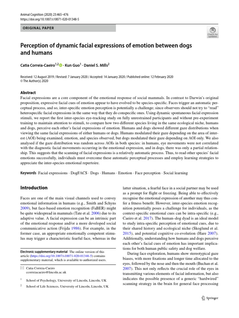 Perception of Dynamic Facial Expressions of Emotion Between Dogs and ...