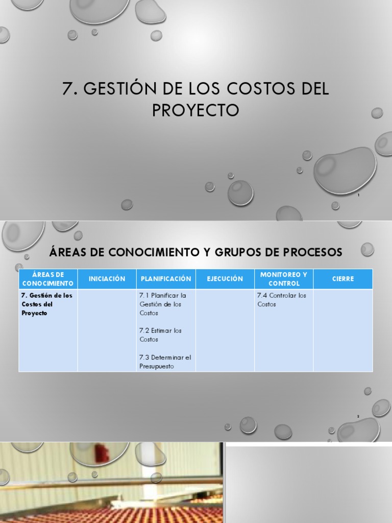 Gestión de Costos del Proyecto | PDF | Presupuesto | Business
