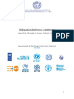 Bibliografía Sobre Proceso Constituyente ONU