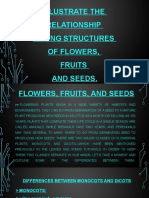 Flower, Fruit, and Seed