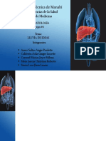 Cirrosis V