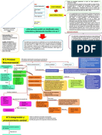 Mapa Conceptual