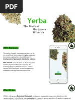 Yerba Coin