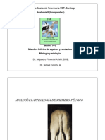 015-2012 AV2-Mb Pelvico Miologia y Artrol Eq y Rum-Pimentel-Concha.pdf