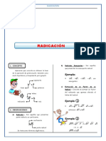 Radicación PDF