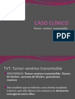 Tumo Venereo Transmisible (TVT) Exposicion