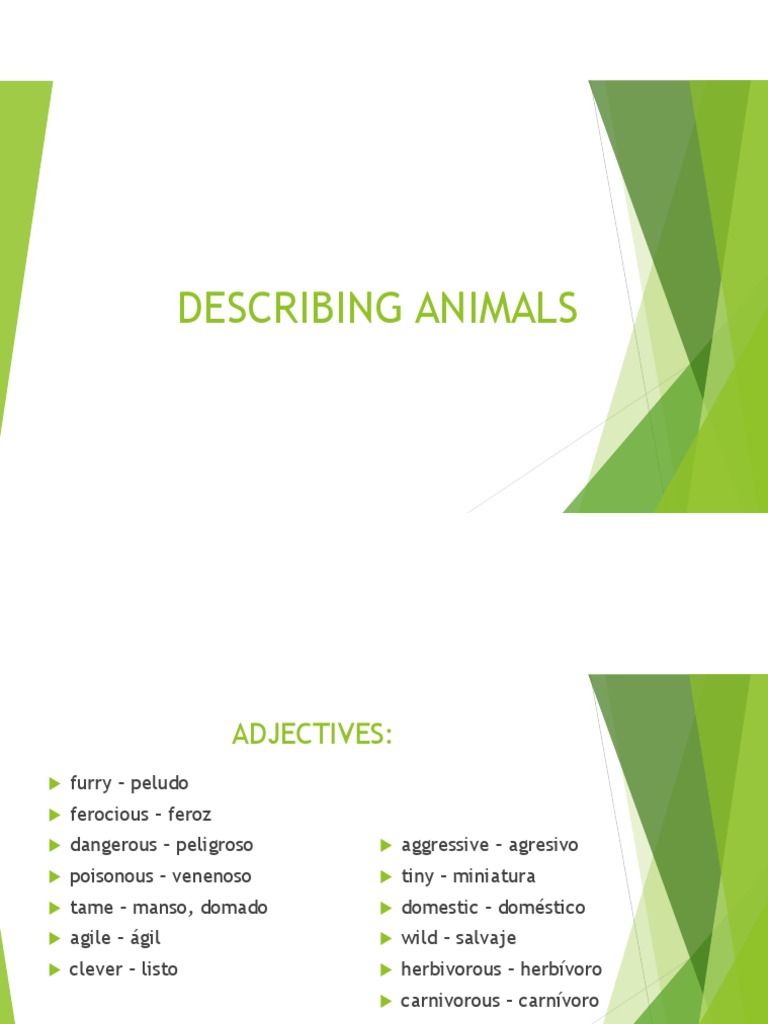 Key Characteristics for Describing Animals | PDF