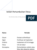 Istilah Pertumbuhan Fetus III