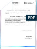Constancia de Practicas Pre Profesionale PDF