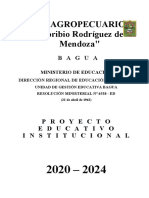 PEI 2020.docx
