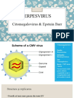 Herpesvirus.pptx