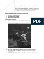 SNDR Compresie Neurovasculara