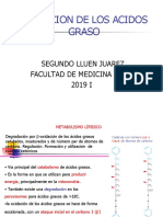 Transp Ac Grasos y Beta Oxidacion