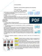 Práctica 3 BMCII Cuestionario 201020