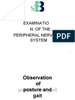 Examinatio N of The Peripheral Nervous System