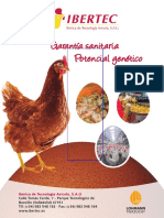 Optimización de huevos vendibles en gallinas ponedoras