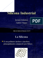 Silicona - Javiera Gutierrez - Andres Vargas - 2008-09-08