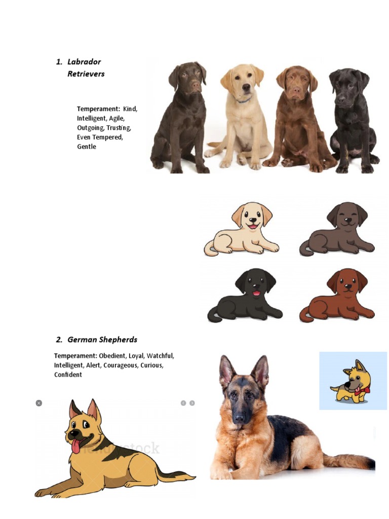 Novice Trick Dog List Pdf