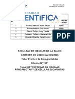 Informe N°5 Grupo 1