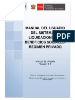 manual_usuario_liquidaciones.pdf