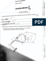 Biology Ppqs End Year Exam Year 10 PDF