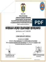 Certificado Gonzalo DCC PDF