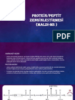 Protein/Peptit Zenginleştirmesi (Maldi-Ms)