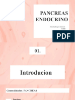 Pancreas Endocrino 1
