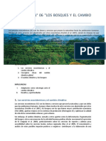 El Cambio Climático y Los Bosques-V3