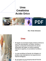 urea-130731154748-phpapp01.pdf
